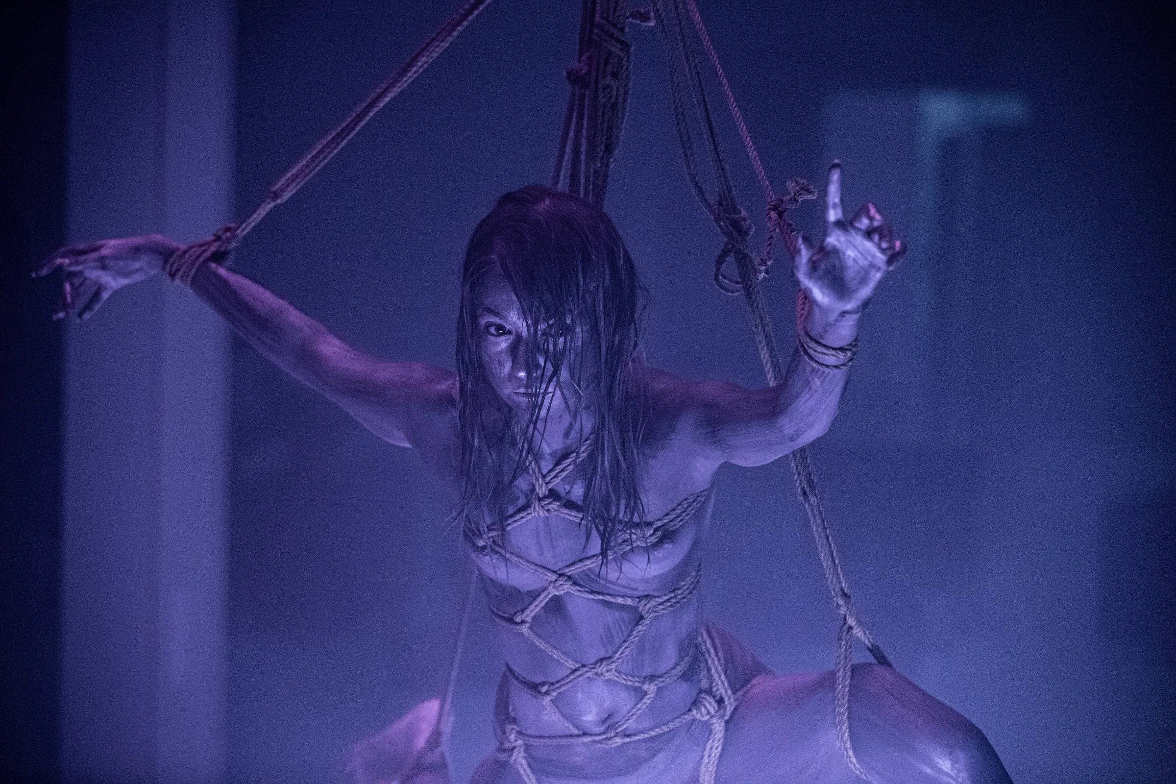 Roboshibari